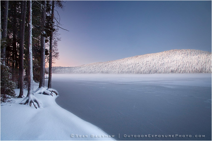 Print: Winter Shore