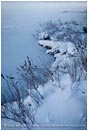 Rights Managed Stock Photo: Lake Edge In Snow
