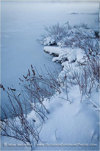 Print: Lake Edge In Snow