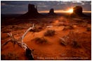 Print: Darkness Bleeds Daylight