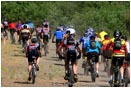 Royalty Free Stock Photo: Mountain Bike Race