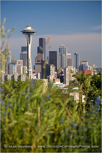 Royalty Free Stock Photo: Seattle Skyline 2