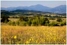Royalty Free Stock Photo: Rogue Valley 2