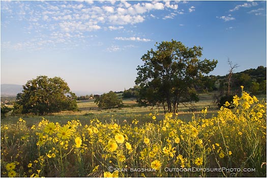 Royalty Free Stock Photo: Rogue Valley 3