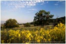 Royalty Free Stock Photo: Rogue Valley 3