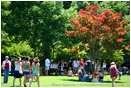 Royalty Free Stock Photo: Lithia Park 1
