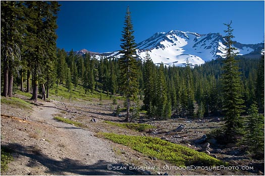 Royalty Free Stock Photo: Mt. Shasta 1