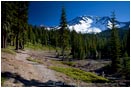Royalty Free Stock Photo: Mt. Shasta 1