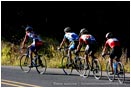 Royalty Free Stock Photo: Road Bike Race 3