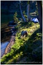 Royalty Free Stock Photo: Camping On Lake 2