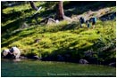 Royalty Free Stock Image: Backpackers 2