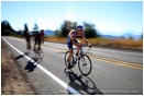 Royalty Free Stock Photo: Road Bike Race 5