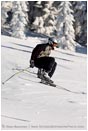 Royalty Free Stock Image: Skier 2
