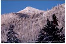 Royalty Free Stock Photo: Mt. Ashland 1