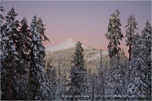 Royalty Free Stock Photo: Mt. Ashland 2