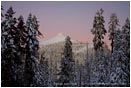 Royalty Free Stock Photo: Mt. Ashland 2