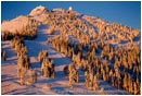 Royalty Free Stock Photo: Mt. Ashland 4
