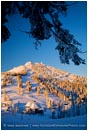 Royalty Free Stock Photo: Mt. Ashland 5