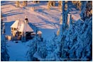 Royalty Free Stock Photo: Mt. Ashland 6