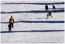 Royalty Free Stock Image: Skiers 1