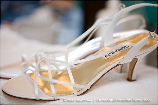Wedding 1 Stock Image,