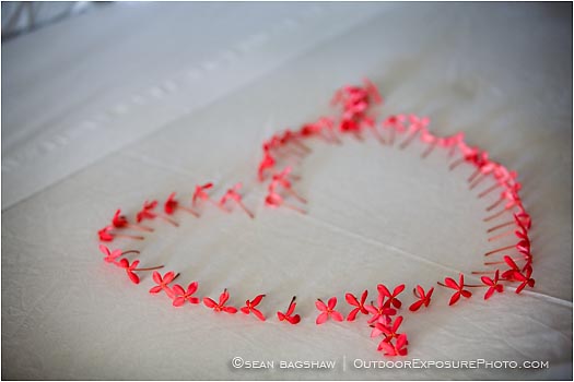 Royalty Free Stock Photo: Wedding 2