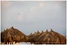Royalty Free Stock Photo: Tropical Resort 3