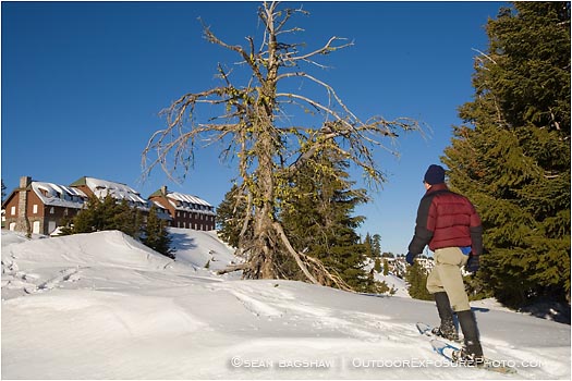 Royalty Free Stock Photo: Snowshoeing 5