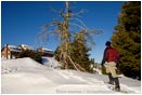 Royalty Free Stock Photo: Snowshoeing 5