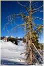 Royalty Free Stock Photo: Crater Lake Lodge 1