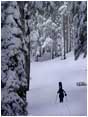 Royalty Free Stock Photo: Earning Turns