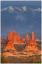 Royalty Free Stock Photo: Petrified Dunes and La Sal Mountains