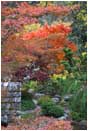 Print: Japanese Garden Fall