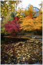 Print: Elizabethan Theater in Fall