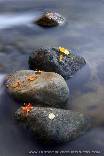 Rights Managed Stock Photo: Leaves, Rocks, Water