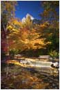 Rights Managed Stock Photo: Elizabethan Theater in Fall II