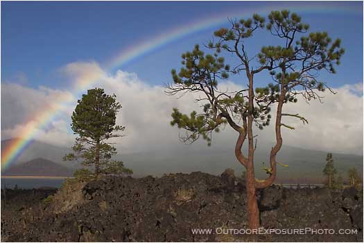 Rainbow and Lava Pine Print
