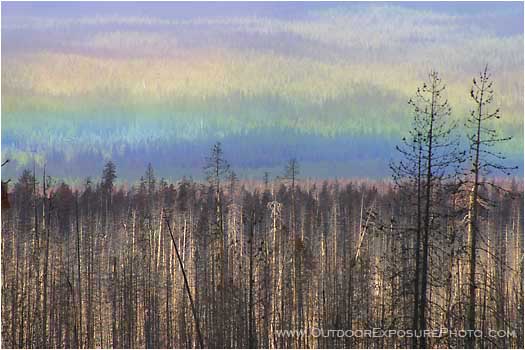 Royalty Free Stock Photo: Ground Rainbow and Burn 
