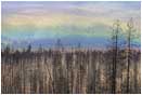 Royalty Free Stock Photo: Ground Rainbow and Burn 