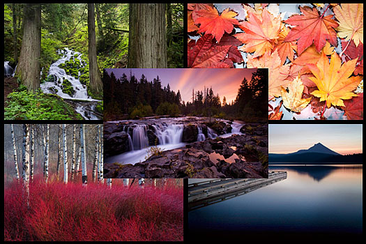 landscape and nature screensaver landscape and nature screensaver