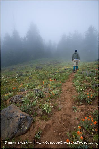 Hiker 3 Stock Image, siskiyou mountains, oregon Hiker 3 Stock Image, siskiyou mountains, oregon