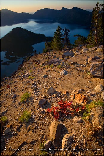 Sunrise on Crater Lake Rim Stock Image, central oregon Sunrise on Crater Lake Rim Stock Image, central oregon