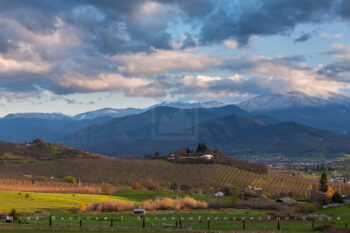 Evening Orchard Stock Image, Ashland, Oregon Evening Orchard Stock Image, Ashland, Oregon
