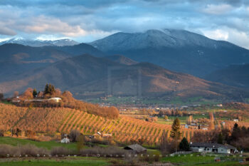 Evening Orchard 3 Stock Image, Ashland, Oregon Evening Orchard 3 Stock Image, Ashland, Oregon