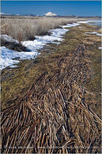 Lower Klamath Wildlife Refuge 6 Stock Image, Lower Klamath Wildlife Refuge 6 Stock Image,