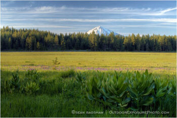 Mt. McLoughlin across Howard Prairie 3 Stock Image, Southern Oregon Mt. McLoughlin across Howard Prairie 3 Stock Image, Southern Oregon