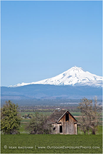 Mt. Jefferson overlooking Farm Stock Image Central Oregon Mt. Jefferson overlooking Farm Stock Image Central Oregon