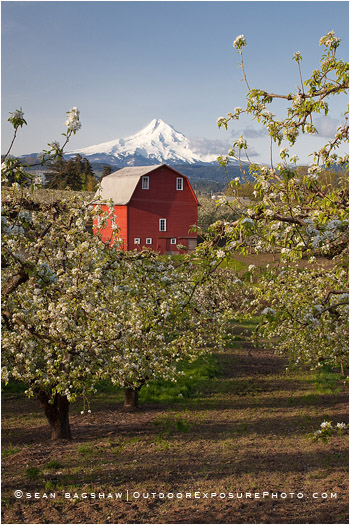Hood River Valley Barn 1 Stock Image, Oregon Hood River Valley Barn 1 Stock Image, Oregon