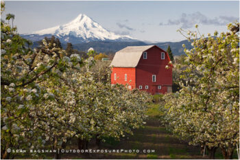 Hood River Valley Barn 2 Stock Image, Oregon Hood River Valley Barn 2 Stock Image, Oregon