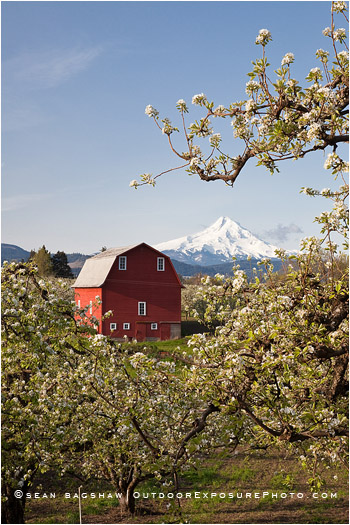 Hood River Valley Barn 4 Stock Image, Oregon Hood River Valley Barn 4 Stock Image, Oregon